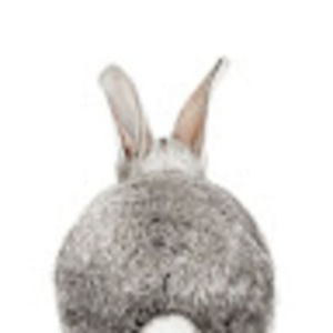 Meet your Posher, Tami